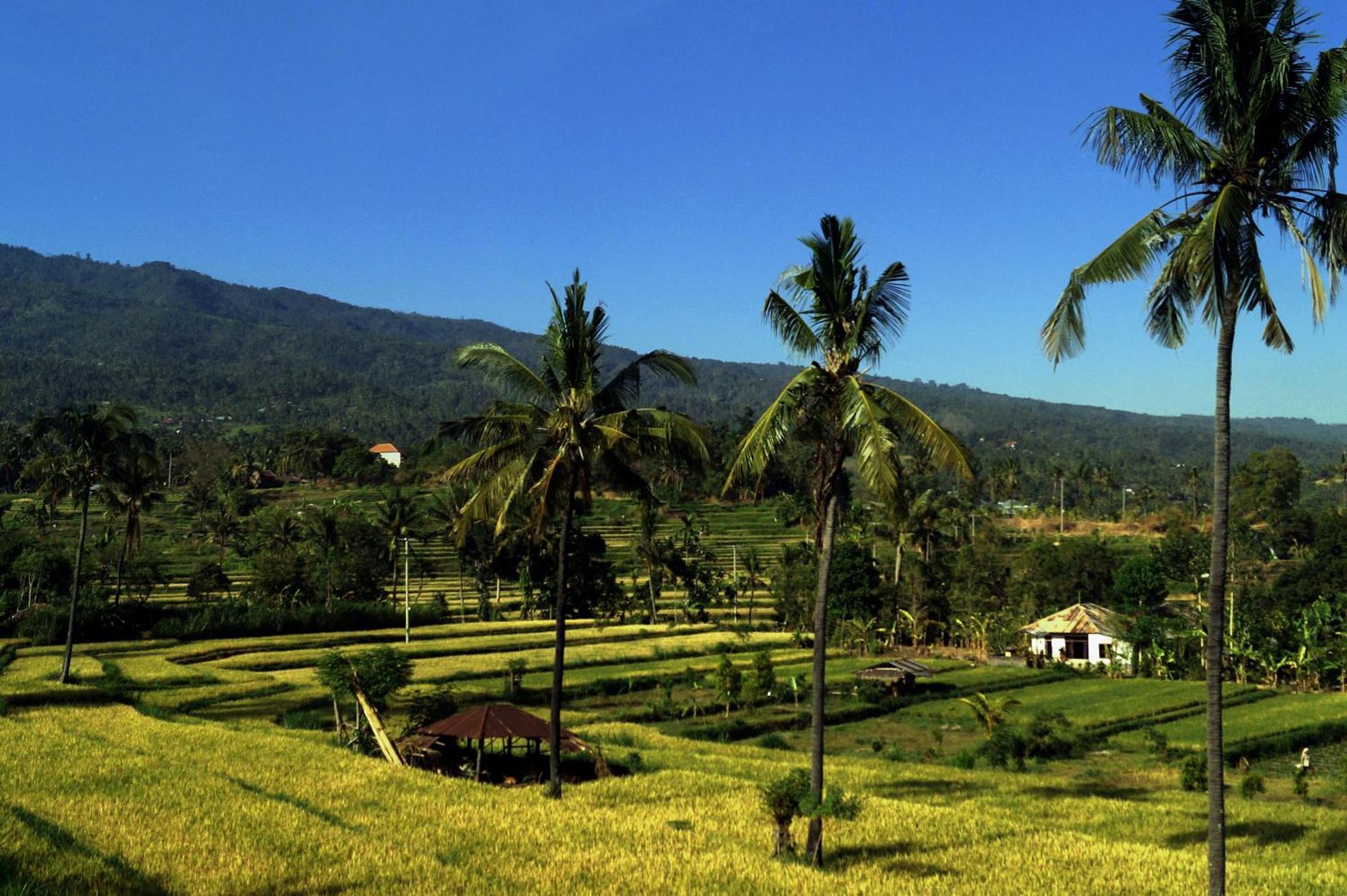Lafyu Bali Hotel Singaraja  Ngoại thất bức ảnh